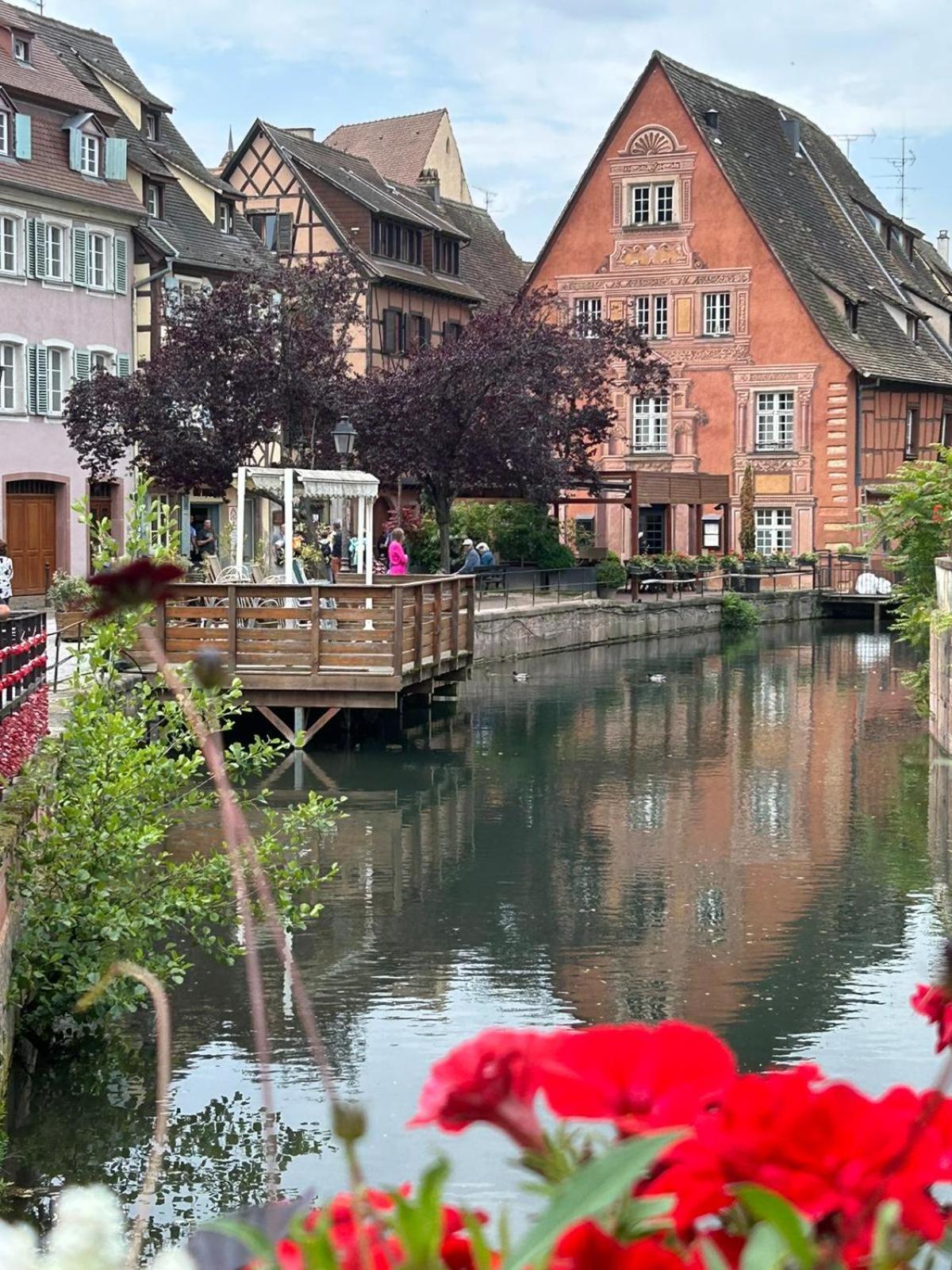 Les Hortensias Fortschwihr المظهر الخارجي الصورة