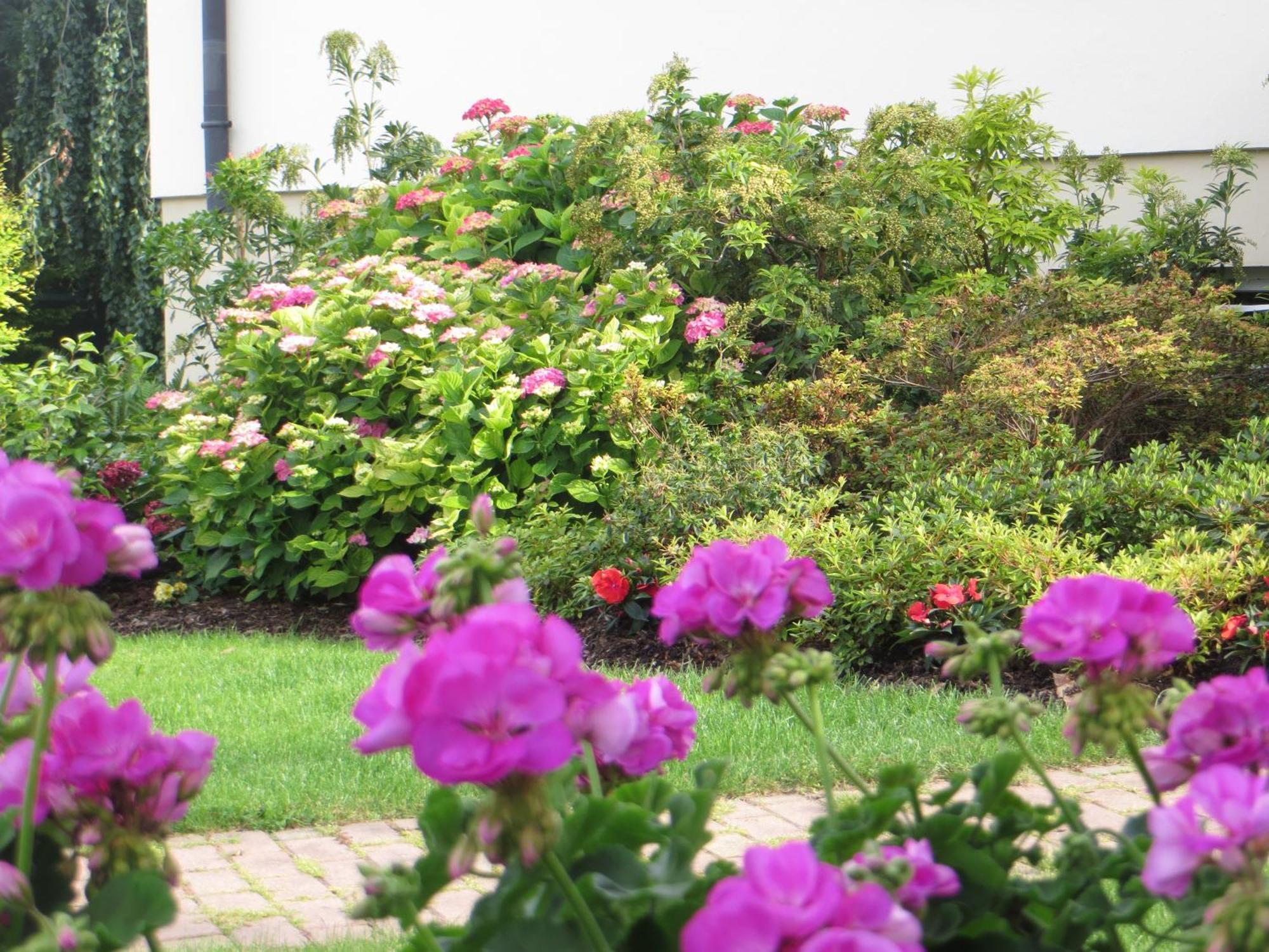 Les Hortensias Fortschwihr المظهر الخارجي الصورة
