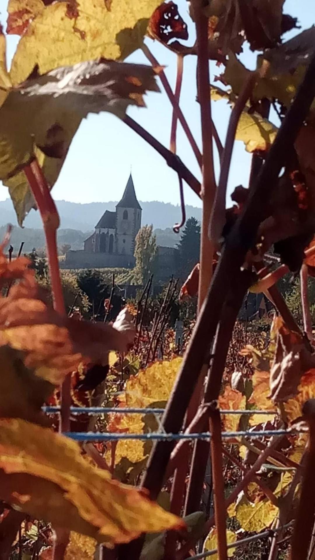 Les Hortensias Fortschwihr المظهر الخارجي الصورة